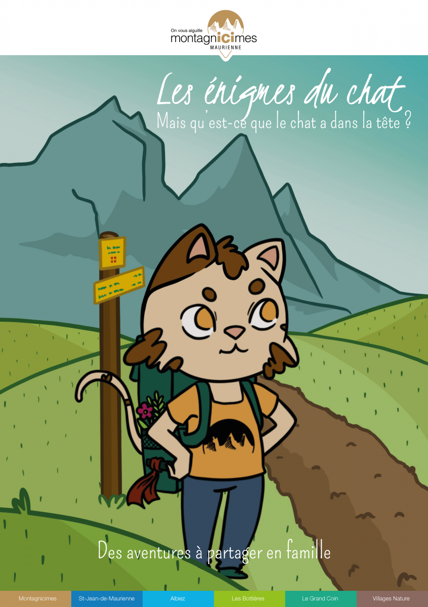 flyers enigmes du chat