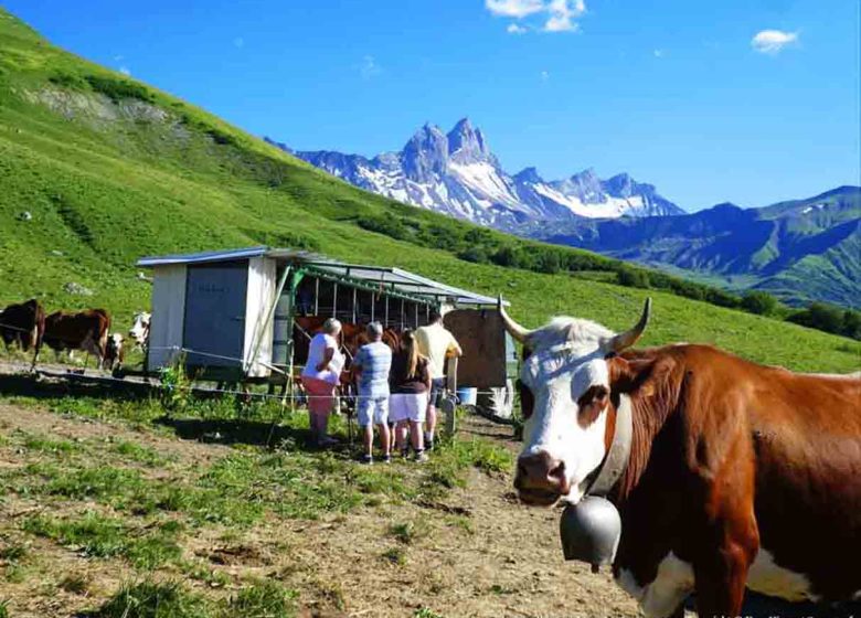 La traite des vaches en alpage, La Route des Fromages de Savoie