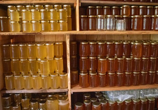 À la cime du rucher