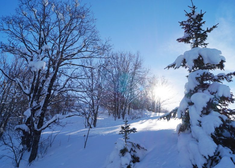 Le Paradis Blanc – Espace naturel au Chalmieu