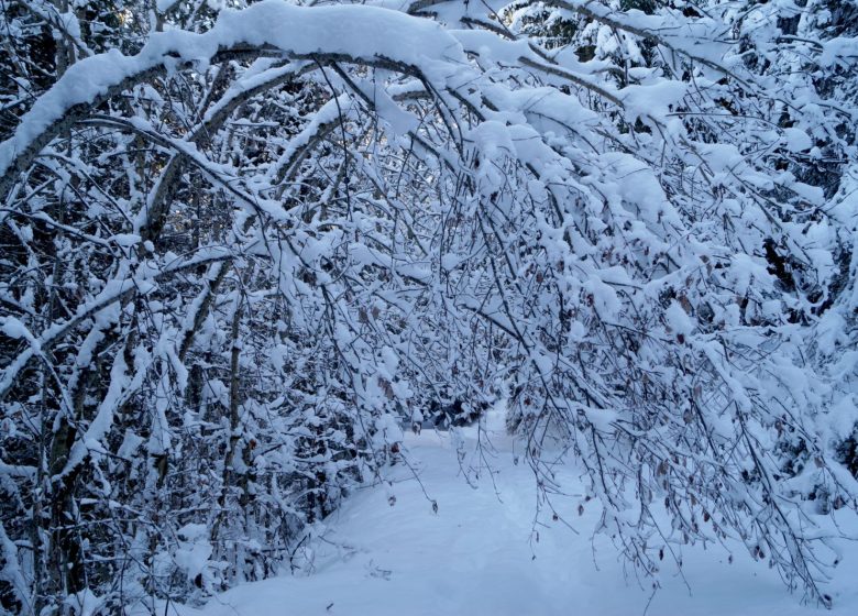 Le Paradis Blanc – Espace naturel au Chalmieu