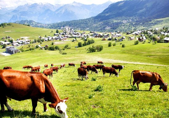 Mairie d’Albiez-Montrond