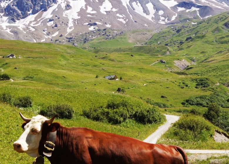 Montée au Pied des Aiguilles d’Arves