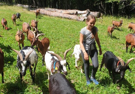 La Chèvrerie de Champlan