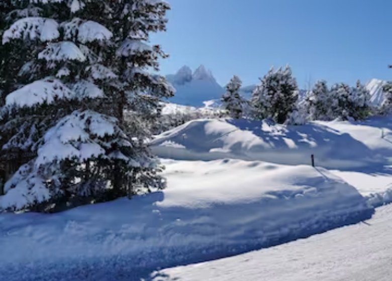 Le Hameau des Aiguilles N°