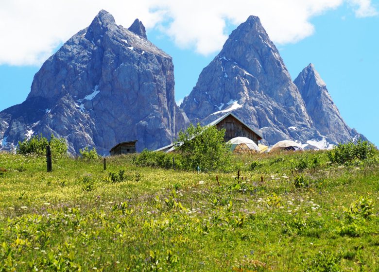 Fleurs et saveurs des alpages au Chalet d’la Croë