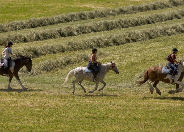 Baptême poney en main