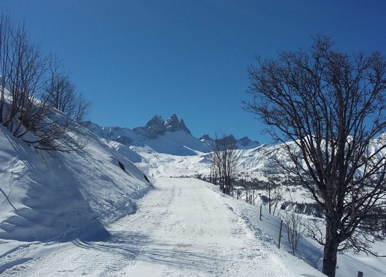 Skiset Col du Mollard