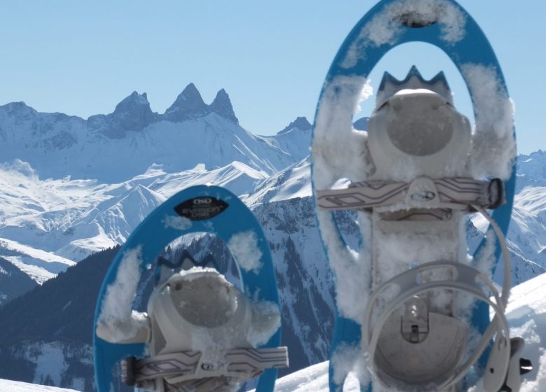 Pack 3 sorties en raquettes avec l’ESF