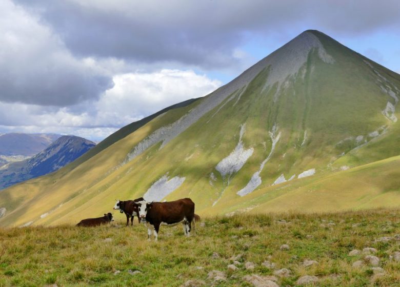 Tour des Aiguilles d’Arves – Chalet d’la Croë / Chalet du Perron