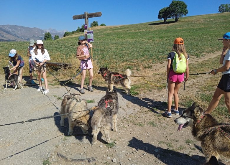 Matinée cani randonnée avec le Centre de loisirs