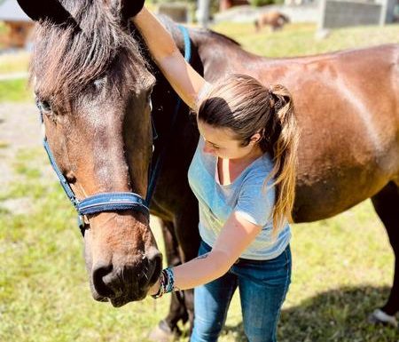 Ostéopathe Animalier – Solène Falcoz
