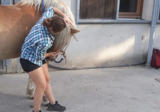 Ostéopathe Animalier – Solène Falcoz