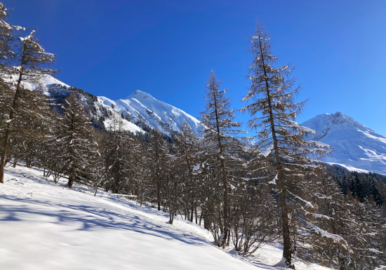 Découverte des paysages enneigés en raquettes