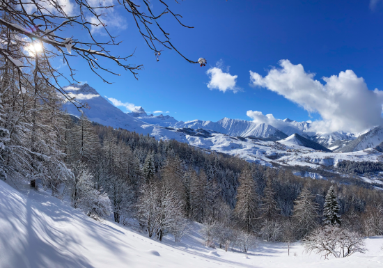 Découverte des paysages enneigés en raquettes