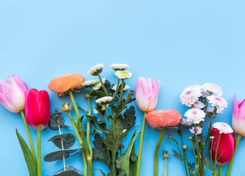 Fêtes des fleurs et du jardin