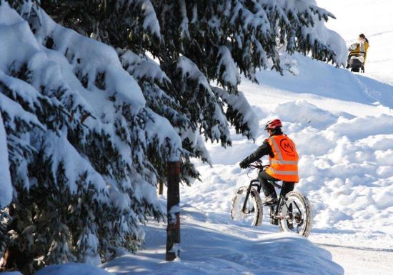 Randonnée en VTTAE et traite des vaches