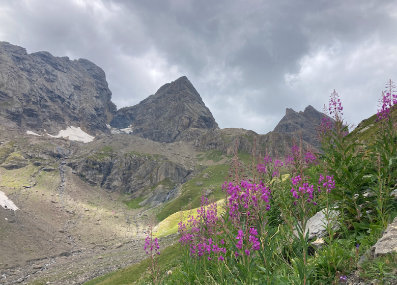 Exploration personnalisée – Randonnée accompagnée