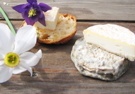 La Chèvrerie de Champlan