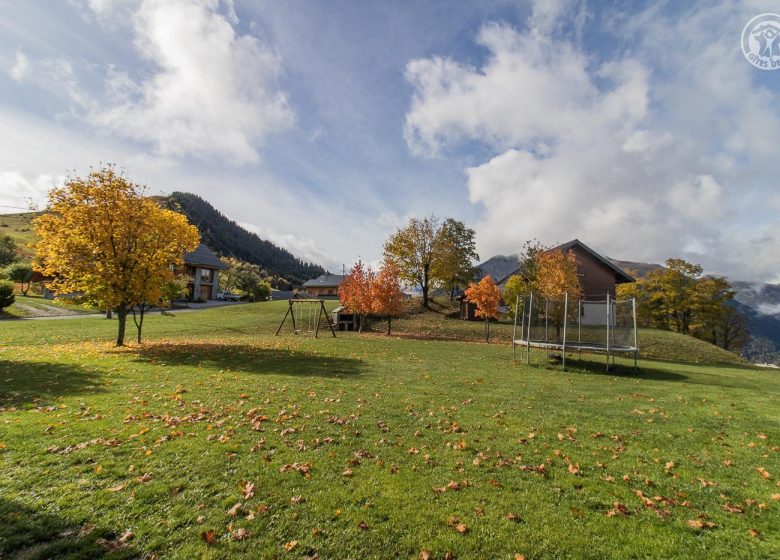 O&rsquo;MIKELY – LE WINNIE