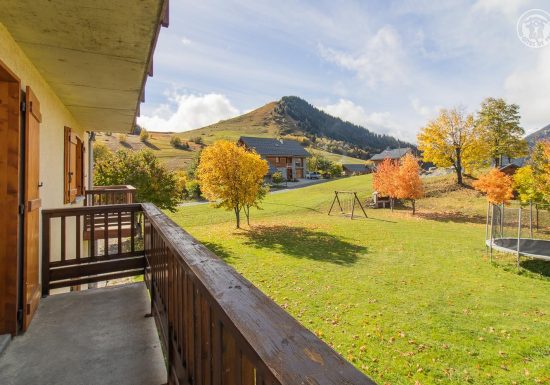 O’MIKELY – LE DINGO