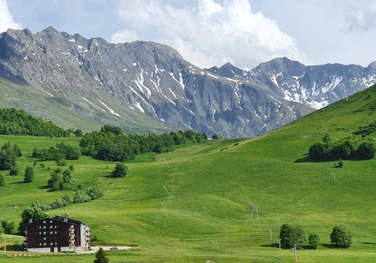 Champfleuri 2 – N°7