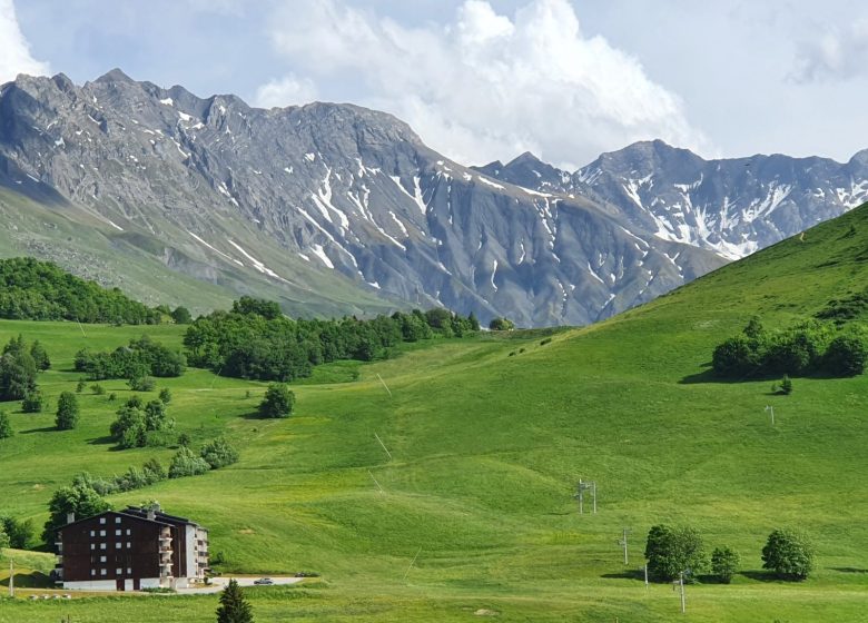 Champfleuri 2 – N°7