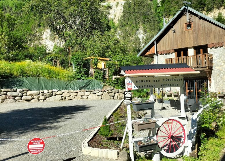 Au Sommet des Narcisses