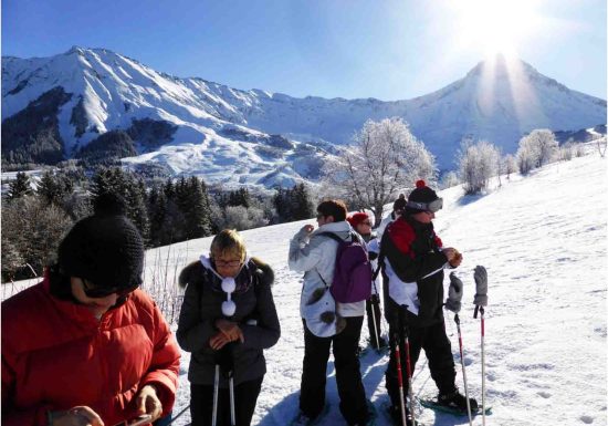 Les traces des animaux de montagne