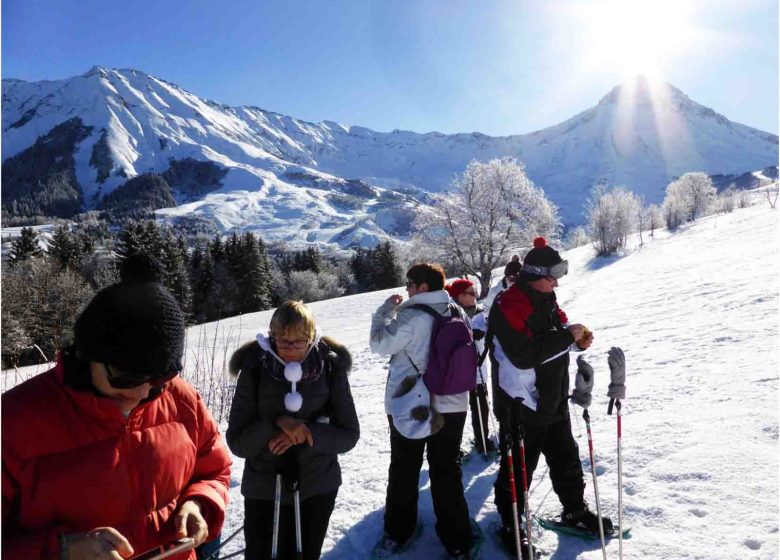 Les traces des animaux de montagne