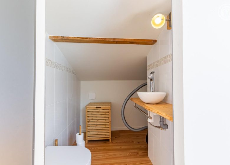 La scierie de la grande ourse – Le grand cerf