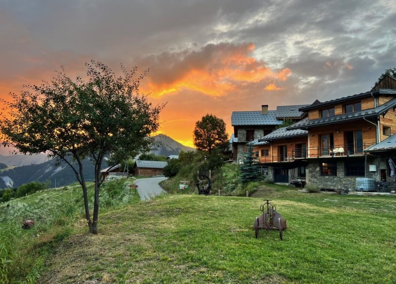 La scierie de la grande ourse – Le grand cerf