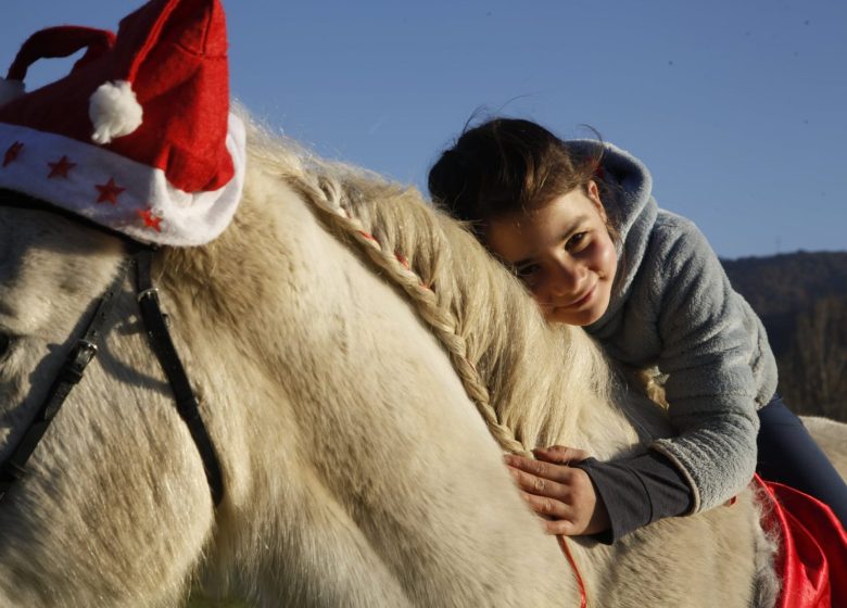 Balade à cheval dans la neige