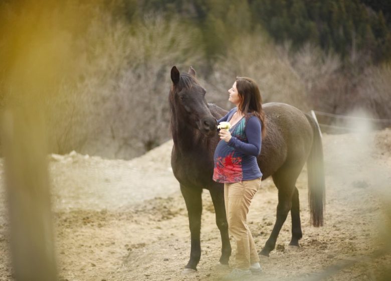 Centre équestre Soi Équestre