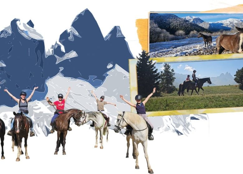 Centre équestre Soi Équestre