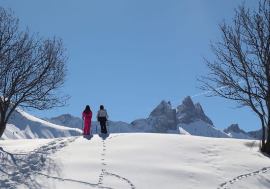 En raquettes à la ferme