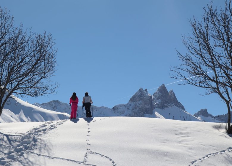 En raquettes à la ferme