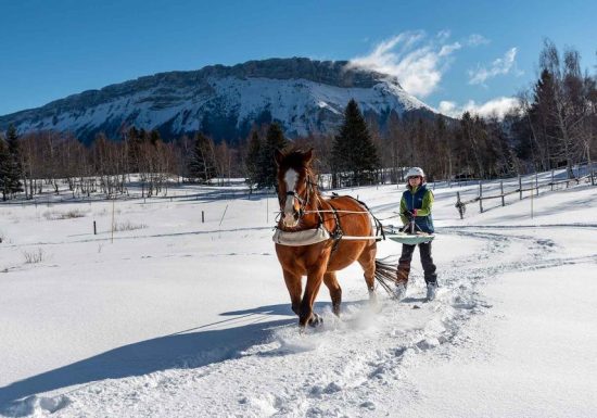 Glisse&rsquo;Z Découverte – Ski Joëring et Poney Luge