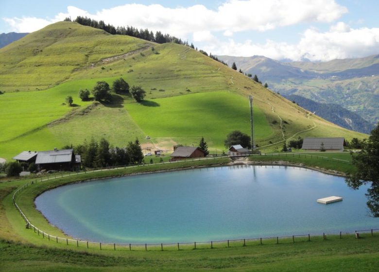 Constantin Joel – Gîte 1