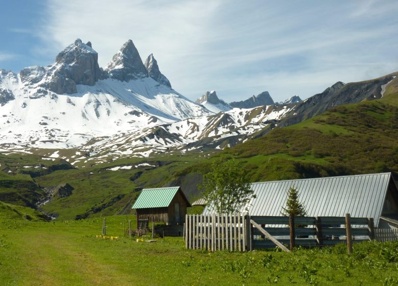 Promenade Savoyarde de découverte des Aiguilles d’Arves