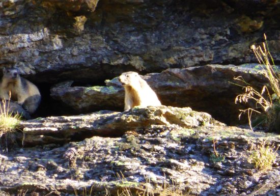 Randonnée dans le Parc National de la Vanoise