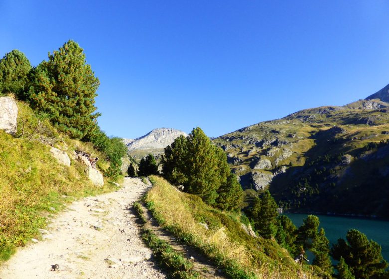 Randonnée dans le Parc National de la Vanoise