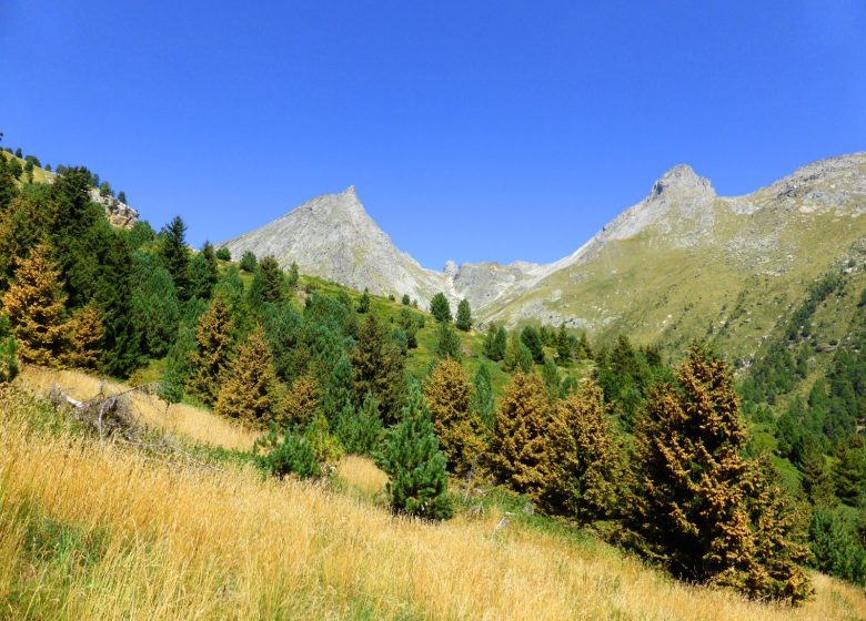 Randonnée dans le Parc National de la Vanoise