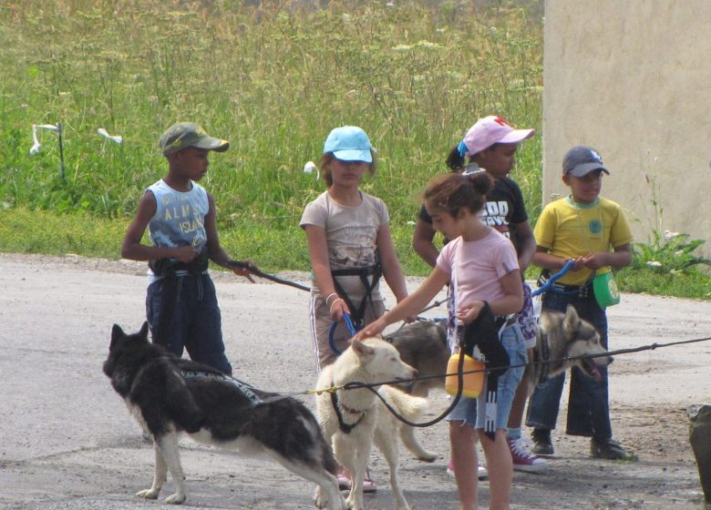 Cani rando, randonnée pédestre avec des chiens de traîneau