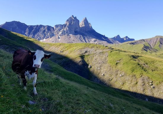 Nuit sous tente au Chalet d’la Croë