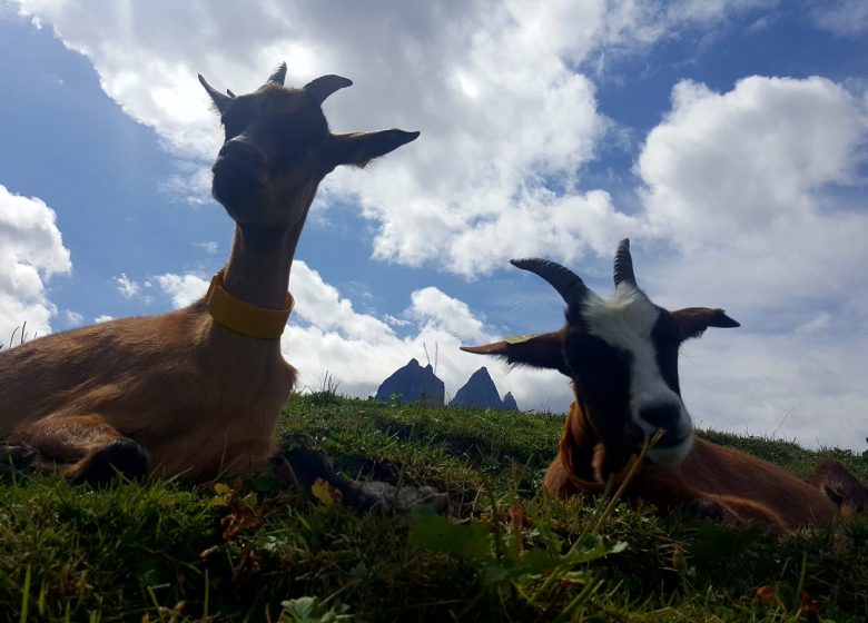 Bivouac et nuit sous dôme au Chalet d’la Croë