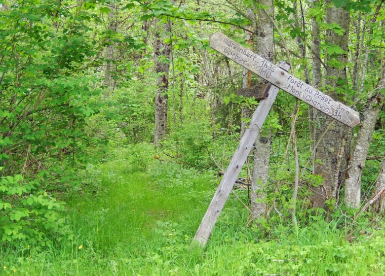 Lire une carte, s’orienter en randonnée en montagne