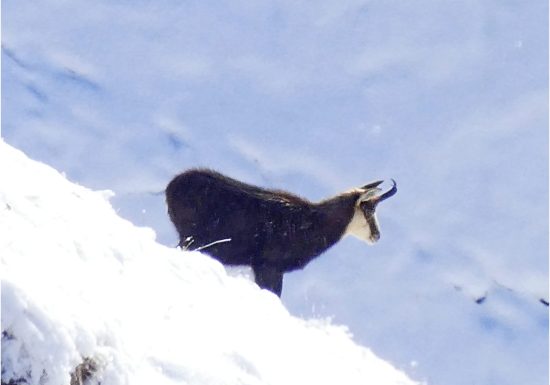 Panorama des Arves, randonnée raquettes