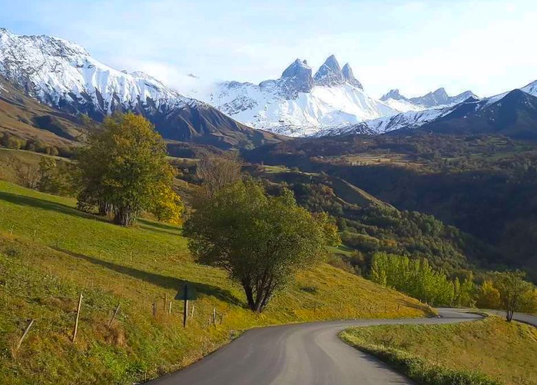 Ostéopathe – Wilfried Grangier