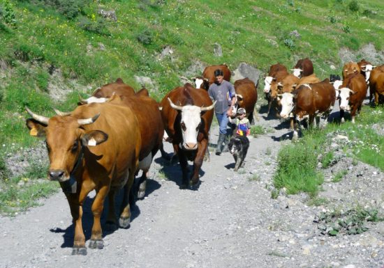 Albiez Randonnée Patrimoine